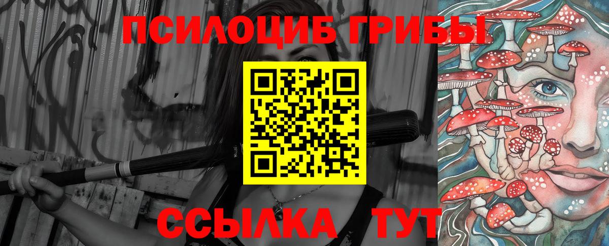 Галлюциногенные грибы Psilocybine cubensis Жуковский
