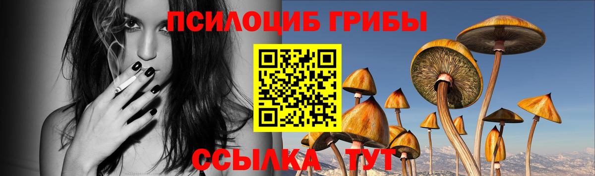 Жуковский  Псилоцибиновые грибы Psilocybine cubensis  Вход с VPN 