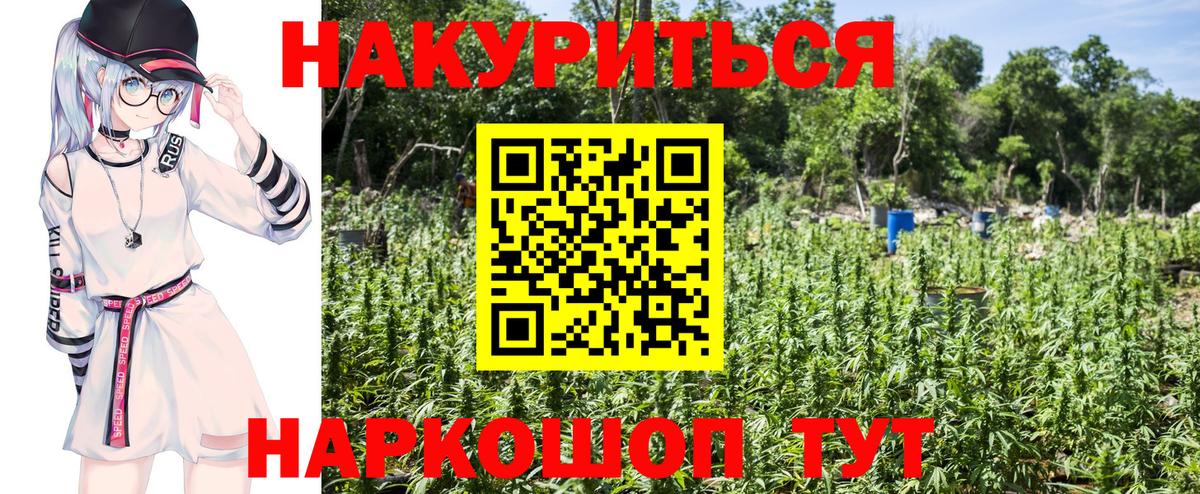 Конопля конопля  Вход с VPN  Бошки марихуана марихуана  Жуковский  Каннабис SATIVA & INDICA 